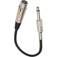 Sunfay Stereo Mikrofon Kablosu 3p Fişine 1/4 '' 6.35MM Dişi Mono Jack Fiş Kablosu 3m (Yurt Dışından)