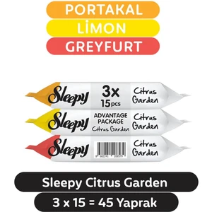 Islak Temizleme Mendili 45 Yaprak – Bebekler İçin Günlük Kullanıma Uygun, Citrus Garden Kokulu, Dermatolojik Onaylı