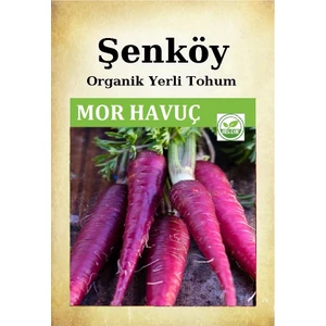 Yerli Havuç Tohumu Doğal Ata Mor Havuç Tohumu Pakette 10 gr 5000 Tohum