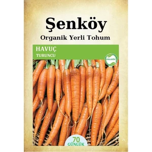 Yerli Havuç Tohumu Doğal Ata Turuncu Tatlı Havuç Tohumu Pakette 10 gr 5000 Tohum