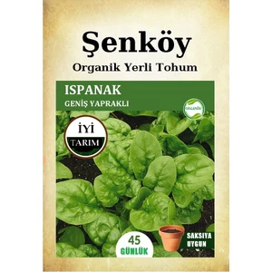 Yerli Ispanak Tohumu Doğal Ata Geniş Yaprak Ispanak Tohum 1 Pakette 25 gr 2500 Tohum