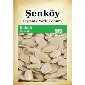 Yerli Çerezlik Kabak Tohumu Doğal Ata Sivri Kabak Tohum Pakette 10 gr 50 Adet