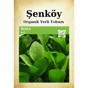Yerli Roka Tohumu Doğal Ata Geniş Yaprak Ege Roka Tohumu Pakette 25 gr 17500 Adet Tohum