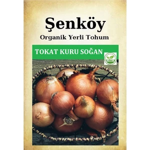 Yerli Tokat Kuru Soğan Tohumu Organik Ata Kışlık Soğan Tohumu  Pakette 10 gr 3000 Adet Tohum