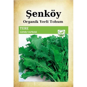 Yerli Tere Tohumu Doğal Ata Toros Geniş Yaprak Tere Tohumu Pakette 25 gr 17500 Adet