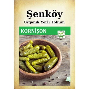 Yerli Kornişon Salatalık Tohumu Doğal Ata Turşuluk Kornişon Tohumu Pakette 5 gr 150 Tohum