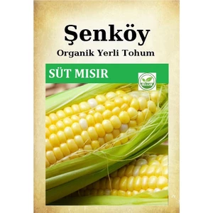 Yerli Süt Mısır Tohumu Doğal Ata Haşlamalık Süt Mısır Tohumu Pakette 10 gr 100 Tohum