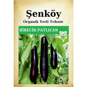 Birecik Kemer Patlıcan Tohumu Doğal Ata Tohumu Pakette 100 Tohum