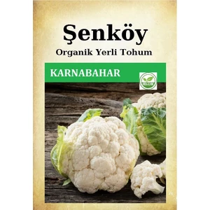 Yerli Kartopu Karnabahar Tohumu Doğal Ata Tohumu Pakette 100 Tohum