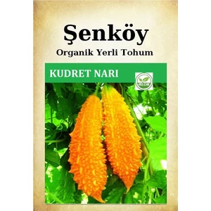 Yerli Kudret Narı Tohumu Doğal Ata Tohumu Pakette 50 Tohum