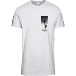 Jack & Jones Jorfullmoon Tişört 12224608
