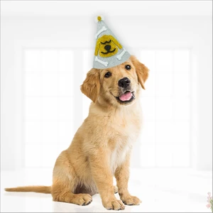 Süsle Bebek ve Parti Köpek Doğum Günü Şapkası