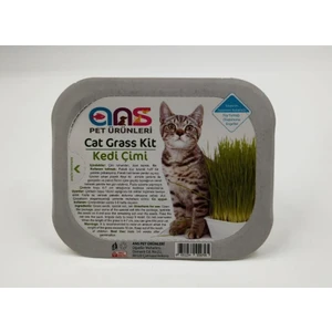 Ans Kedi Çimi
