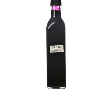 33tarsusyoresel Ev Yapımı Yaban Mersini Özü 500 Ml