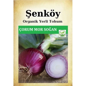 Yerli Mor Soğan Tohumu Çorum Mor Soğan Doğal Ata Soğan Tohumu  Pakette 10 gr 2500 Tohum