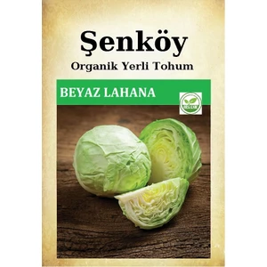 Yerli Beyaz Lahana Tohumu Doğal Ata Bafra Turşuluk Sarmalık Lahana  Tohumu Pakette 5 Gr 1250 Tohum