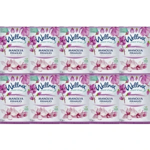 Dolap ve Çekmece Kokusu Manolya Ferahlığı Kesesi x 10 Adet