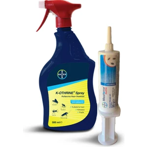 Maxforce Platin 20 gr + K-Othrine Sprey 500 ml