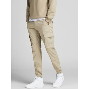 Jack & Jones Paul Flake 542 Kargo Pantolon