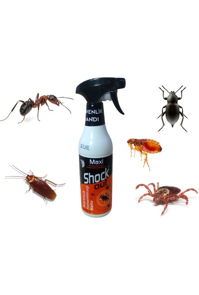 Shock Out Maxi Karınca Hamam Böceği ve Kene Spreyi 450 ml