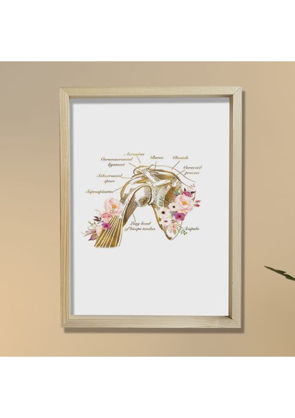 Omuz Anatomisi Baskısı, Fizyoterapist Hediyesi, Omuz Anatomisi Baskısı, Fizyoterapist Hediyesi,