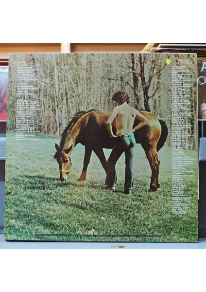 Arlo Guthrie * Washington County,amerikan Baskı 1970 Lp fiyatları
