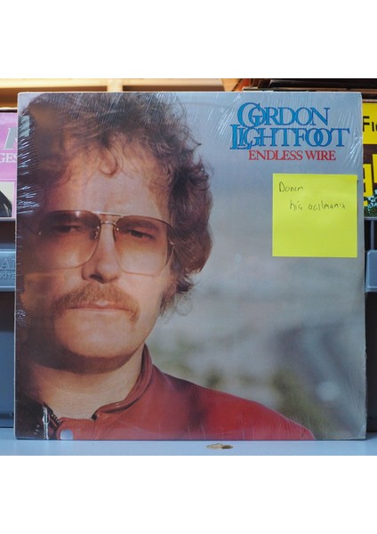 Gordon Lightfoot * Endless Wire ,amerikan Baskı 1978 Lp