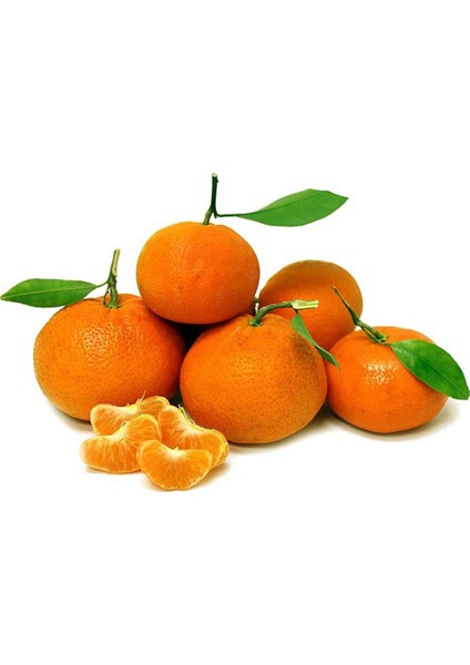 Manav Mandalına Lux 1 kg
