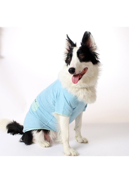 Simli Yıldızlı Cepli Pet Tshirt - Mavi - Köpek ve Kedi Kıyafeti