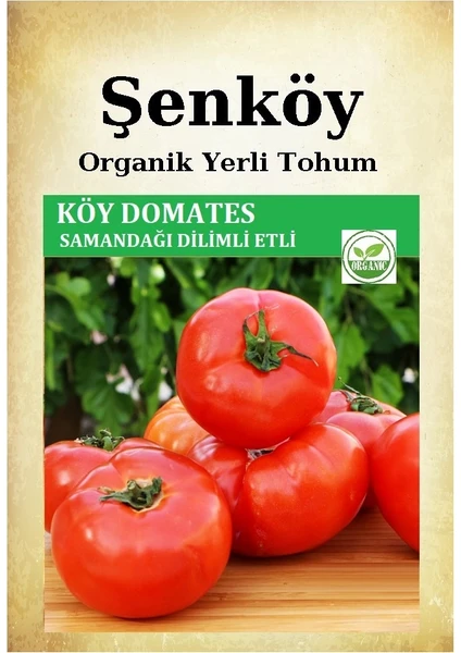 Yerli Köy Domates Tohumu Doğal Ata Samandağı Etli Dilimli Domates Tohumu Pakette 2 gr 500 Ad.