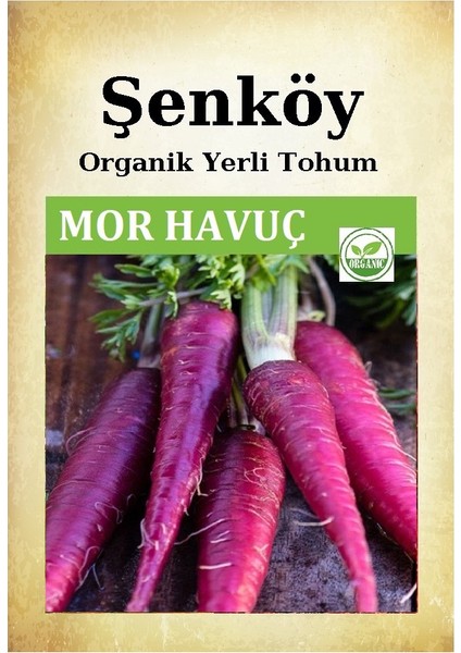 Yerli Havuç Tohumu Doğal Ata Mor Havuç Tohumu Pakette 10 gr 5000 Tohum