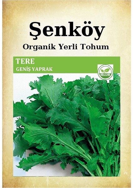 Yerli Tere Tohumu Doğal Ata Toros Geniş Yaprak Tere Tohumu Pakette 25 gr 17500 Adet