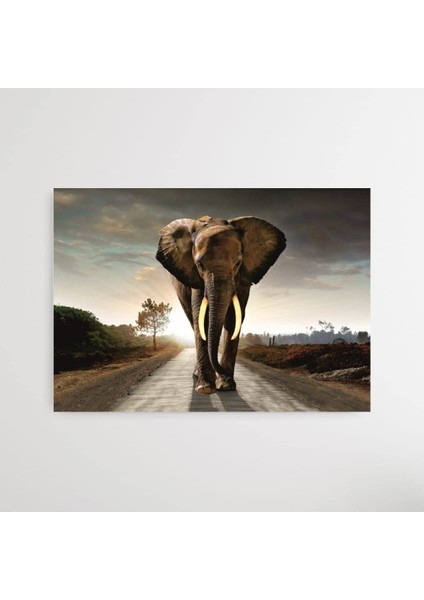 Filportre Kanvas Tablo 70 x 100 cm