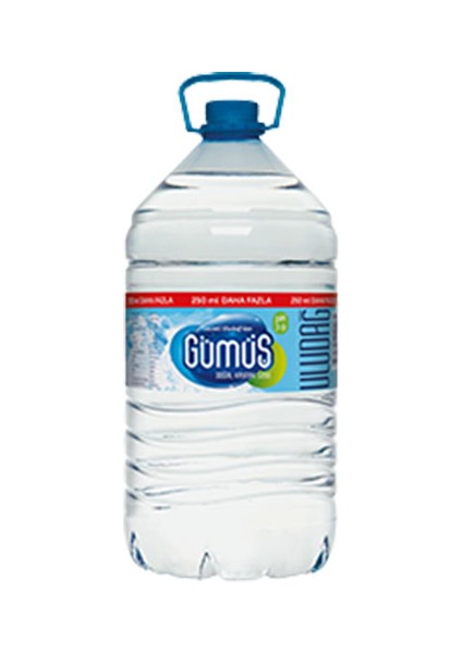 Gümüş Su (5 L)