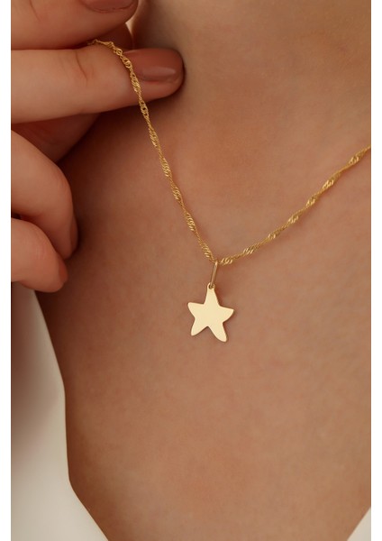 14 Ayar Altın Singapur Zincir Yıldız Kolye
