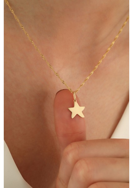 14 Ayar Altın Singapur Zincir Yıldız Kolye fiyatları