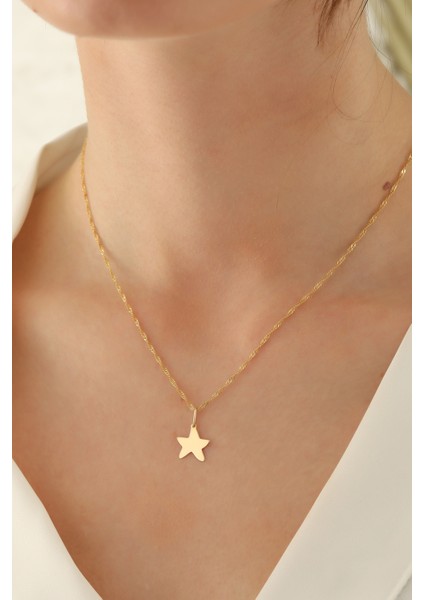 14 Ayar Altın Singapur Zincir Yıldız Kolye modelleri