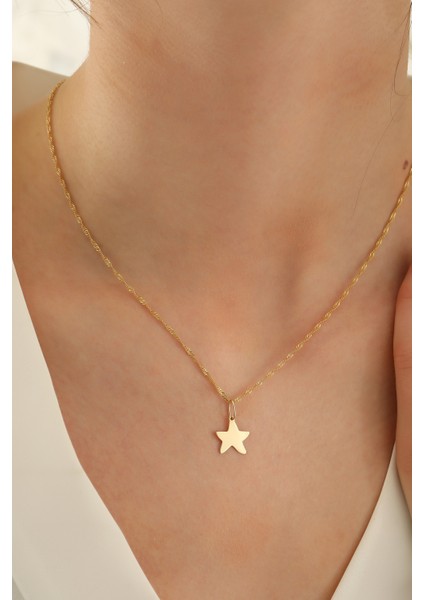 14 Ayar Altın Singapur Zincir Yıldız Kolye fırsatları