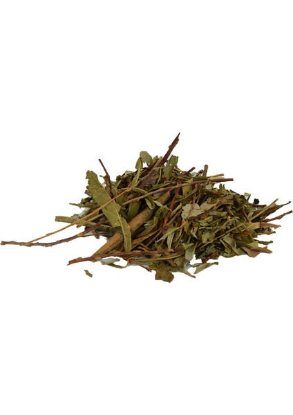 Söğüt Yaprağı 1 kg