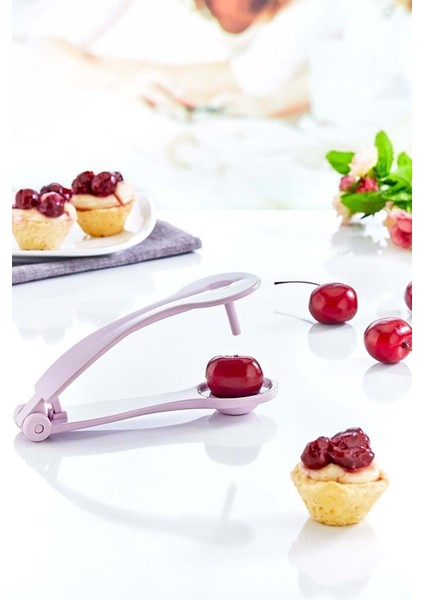 Çekirdek Çıkartma Aparatı modelleri