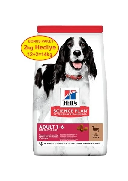 Science Plan Kuzu Etli Orta Irk Yetişkin Köpek Maması 12 kg (+2 kg Hediyeli)