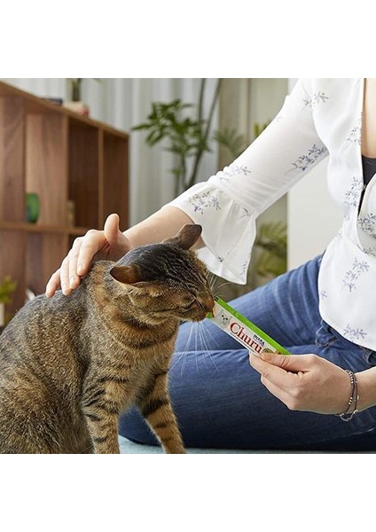 Ciao Inaba Twin Packs Tavuklu Kedi Çorbası 2 x 40 Gr