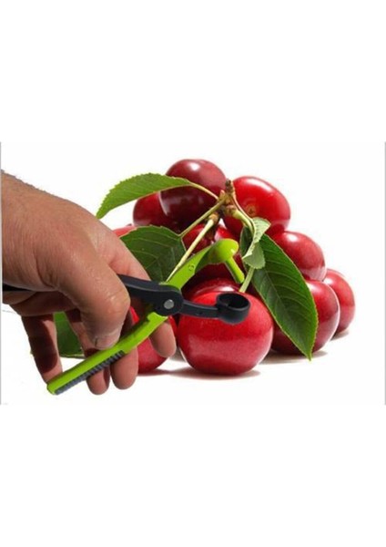 Vişne Çekirdek Çıkarıcı modelleri