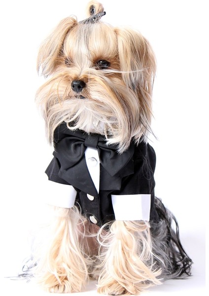 Pet Smokin - Köpek ve Kedi Kıyafeti fiyatları