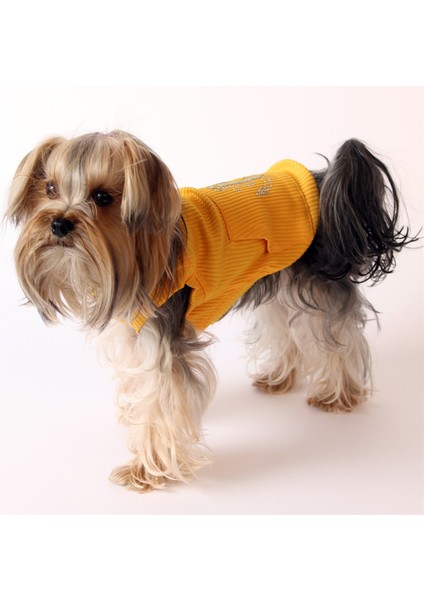 Kanguru Cep Çapalı Pet Kolsuz Bluz - Sarı Kavun içi Köpek ve Kedi Kıyafeti