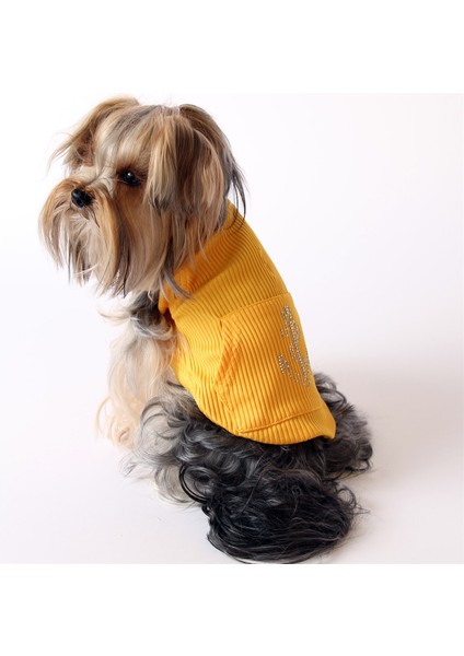 Kanguru Cep Çapalı Pet Kolsuz Bluz - Sarı Kavun içi Köpek ve Kedi Kıyafeti fiyatları