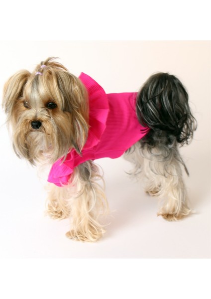 Tek Omuz Pet Bluz - Pembe Köpek ve Kedi Kıyafeti fiyatları