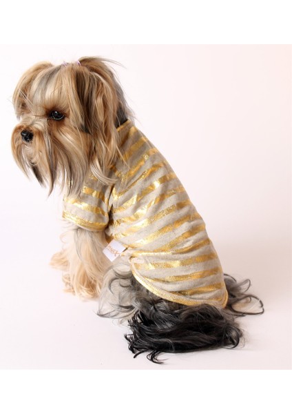 Varak Çizgili Pet Tshirt - Köpek ve Kedi Kıyafeti modelleri