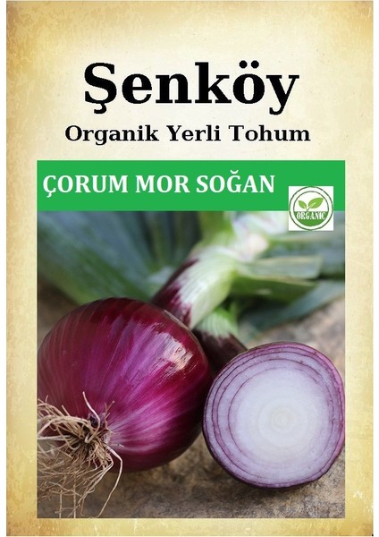 Yerli Mor Soğan Tohumu Çorum Mor Soğan Doğal Ata Soğan Tohumu Pakette 10 gr 2500 Tohum