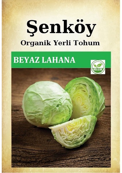 Yerli Beyaz Lahana Tohumu Doğal Ata Bafra Turşuluk Sarmalık Lahana Tohumu Pakette 5 Gr 1250 Tohum